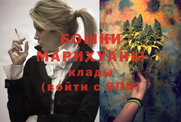 PSILOCYBIN Богданович