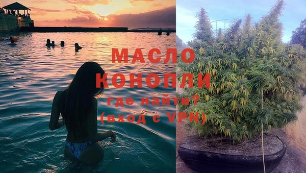 PSILOCYBIN Богданович