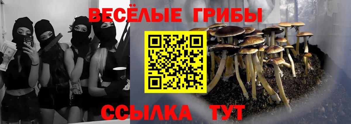 Галлюциногенные грибы мицелий  Галлюциногенные грибы прущие грибы  Вход с VPN  Воскресенск 
